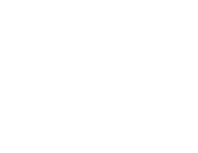 lesedi utilities logo white stacked